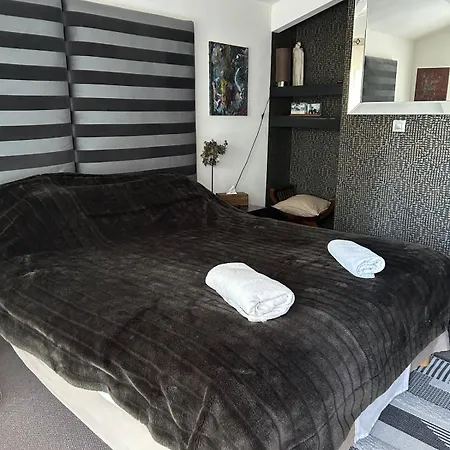 Propriete De Pour 12 Personnes Avec Piscine Et Jacuzzi